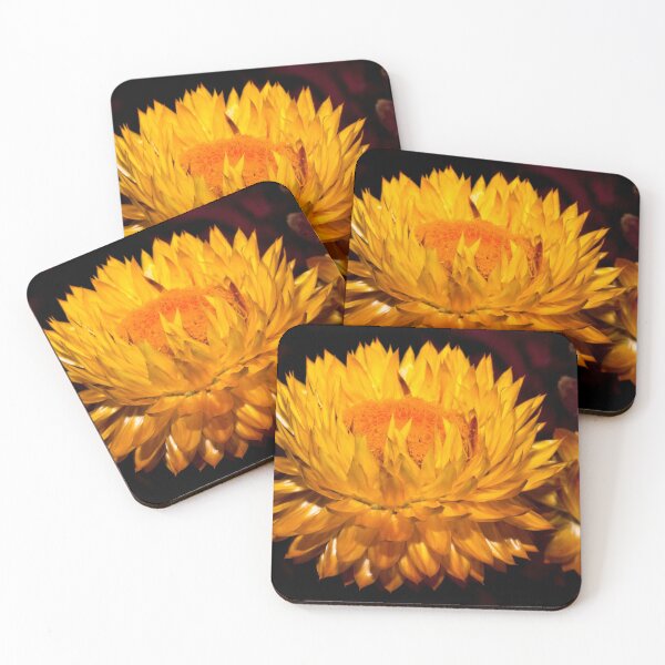 Item preview, I Wanted to Pick you a Flower designed and sold by Derek Byrne.