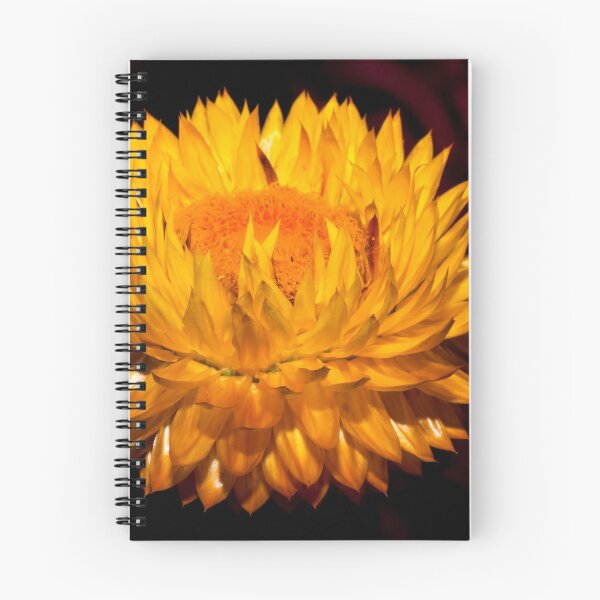 Item preview, I Wanted to Pick you a Flower designed and sold by Derek Byrne.