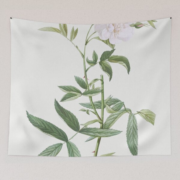 Item preview, Les Roses by Pierre-Joseph Redouté designed and sold by EsotericBotanic.