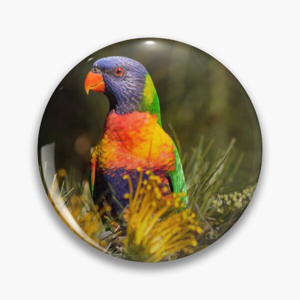 Item preview, Rainbow Lorikeet designed and sold by Derek Byrne.