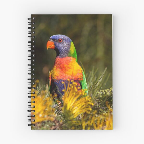 Item preview, Rainbow Lorikeet designed and sold by Derek Byrne.