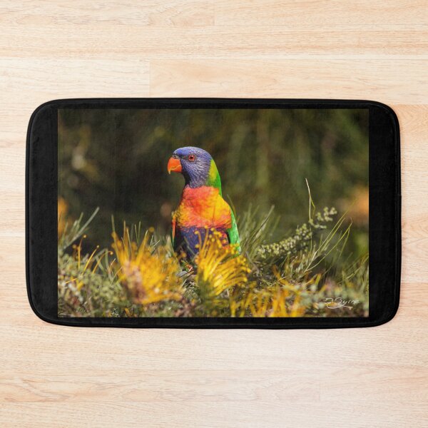 Item preview, Rainbow Lorikeet designed and sold by Derek Byrne.