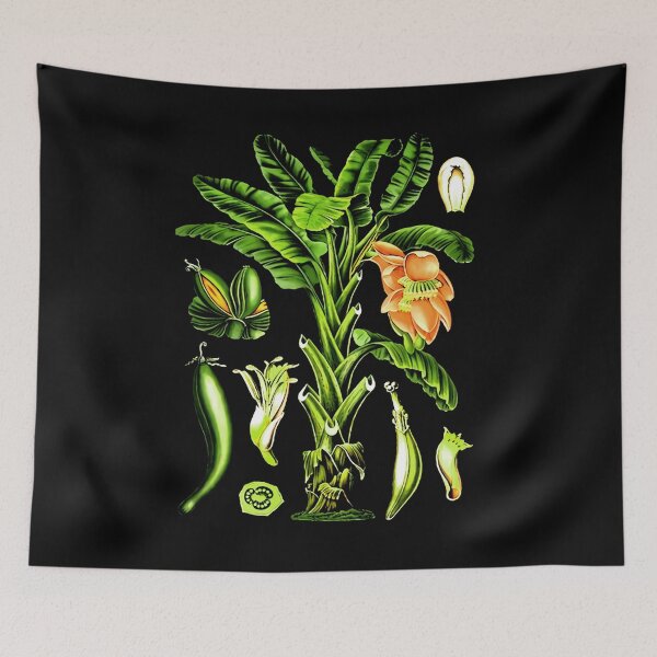 Item preview, banana tree designed and sold by ompongalfina.