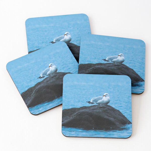 Item preview, Gull on a rock designed and sold by joeyyyp.