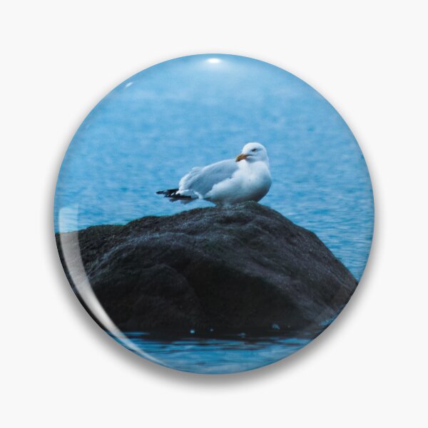 Item preview, Gull on a rock designed and sold by joeyyyp.