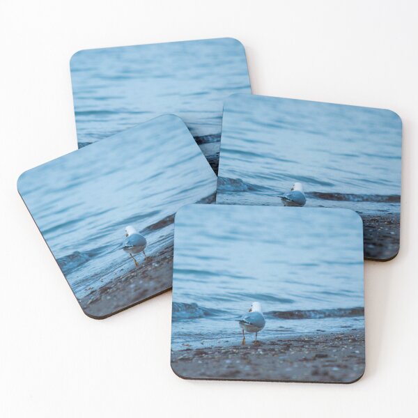 Item preview, Gull on the beach designed and sold by joeyyyp.