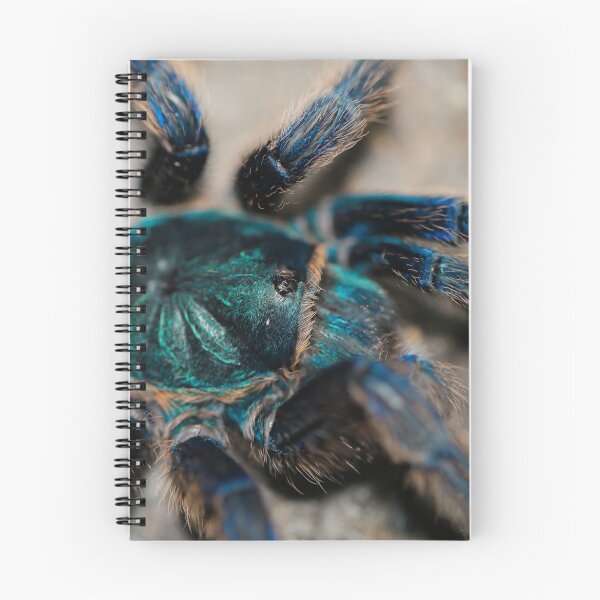 Artikelvorschau, Chromatopelma cyaneopubescens entworfen und verkauft von Spidergirl.