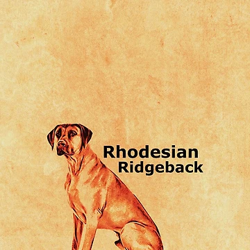Artwork thumbnail, Vintage Rhodesian Ridgeback by Markotropoya22