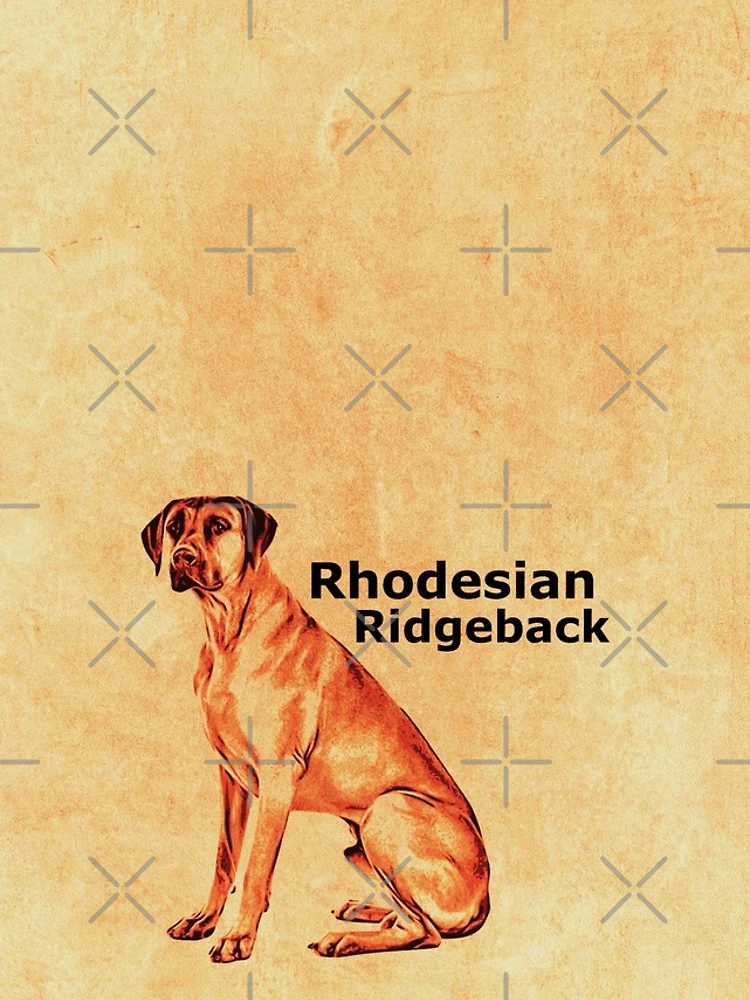 Thumbnail 4 of 4, iPhone Case, Vintage Rhodesian Ridgeback designed and sold by Markotropoya22.