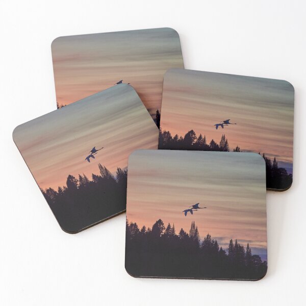 Item preview, Sunset pair. Whooper swan designed and sold by Jouko Lehto Photography.
