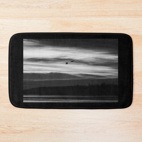 Item preview, NIght with the swans. Whooper swan bw designed and sold by Jouko Lehto Photography.