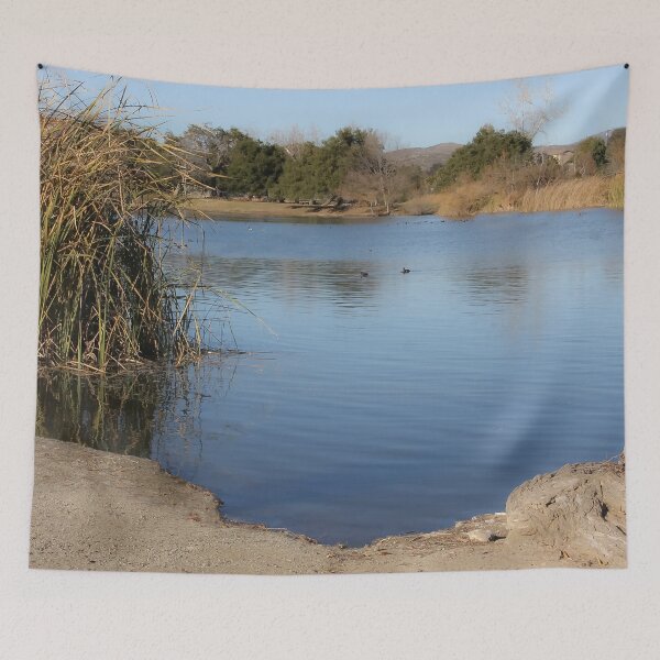Item preview, Lake Murray on a February Morning designed and sold by heatherfriedman.