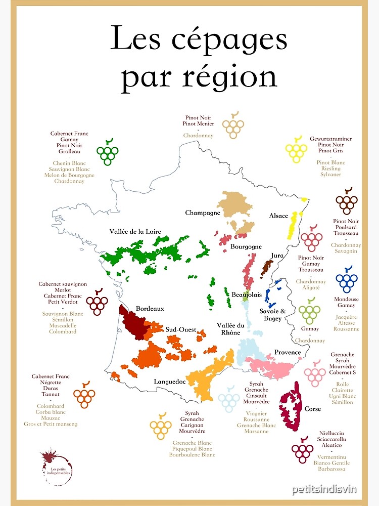 Grape varietals and colors of the Bourgogne winegrowing region