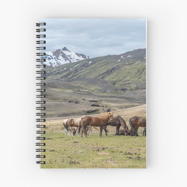 Aperçu de l'œuvre Chevaux en Islande créée et vendue par EngineerGoC.