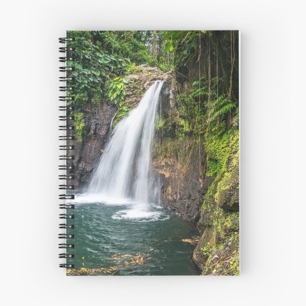 Item preview, Saut de la Lezarde waterfall, Guadeloupe designed and sold by reisefoto.