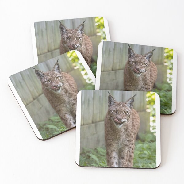 Item preview, Eurasian lynx designed and sold by Martulia.