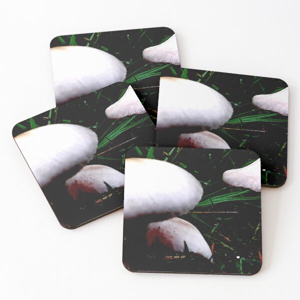 Item preview, UFO 'Shrooms designed and sold by Geoff Treagus.