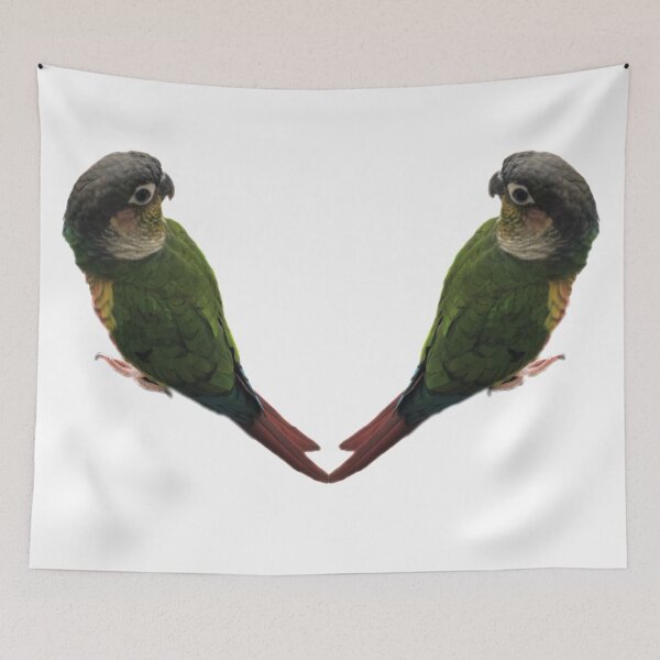 Item preview, Green Cheek Conure design | Conure | Small Parrot | Parakeet | Parrot lover | I love my conure designed and sold by TatianaLG.