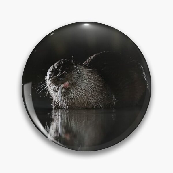 Item preview, Nutrias designed and sold by Dean   Eades.