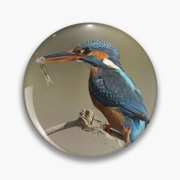 Item preview, Kingfisher  designed and sold by Dean   Eades.