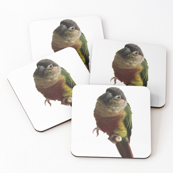 Item preview, Green Cheek Conure design | Conure | Small Parrot | Parakeet | Parrot lover | I love my conure designed and sold by TatianaLG.