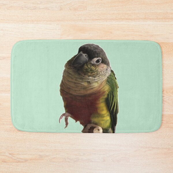 Item preview, Green Cheek Conure design | Conure | Small Parrot | Parakeet | Parrot lover | I love my conure designed and sold by TatianaLG.