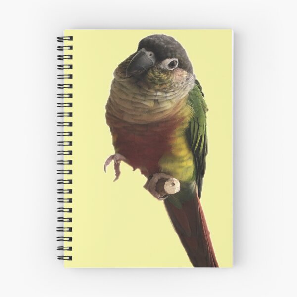 Item preview, Green Cheek Conure design | Conure | Small Parrot | Parakeet | Parrot lover | I love my conure designed and sold by TatianaLG.