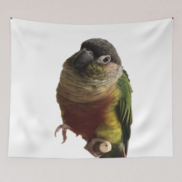 Item preview, Green Cheek Conure design | Conure | Small Parrot | Parakeet | Parrot lover | I love my conure designed and sold by TatianaLG.