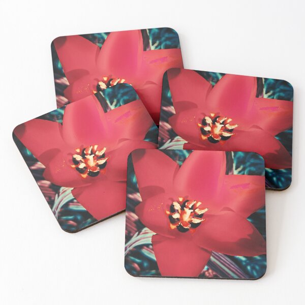 Item preview, Red Tulipa linifolia designed and sold by Ingo Menhard.