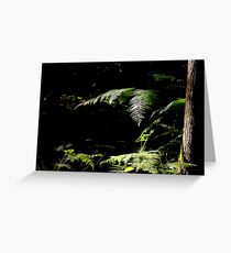Forest Shade Greeting Card