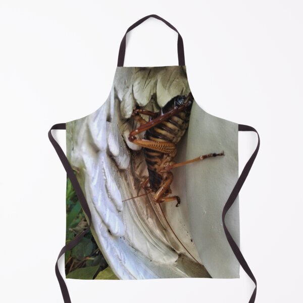 Item preview, All God's creatures designed and sold by carole hirst.