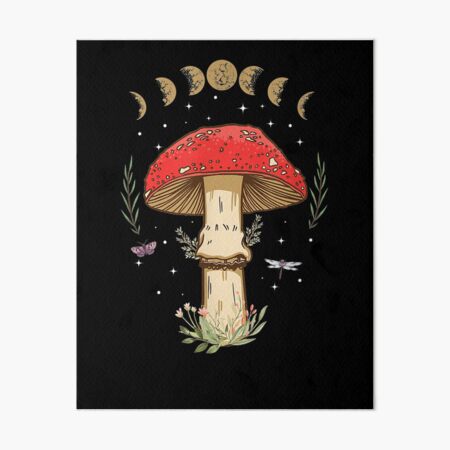 mushroom painting aesthetic