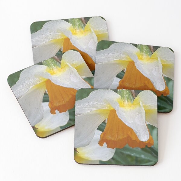 Item preview, Daffodil and Spring New designed and sold by ChrisJ357.