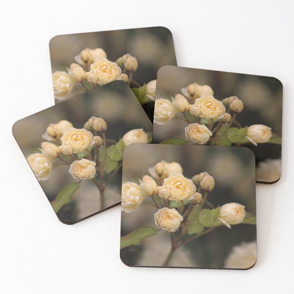 Item preview, Boquet. designed and sold by Paul Pasco.