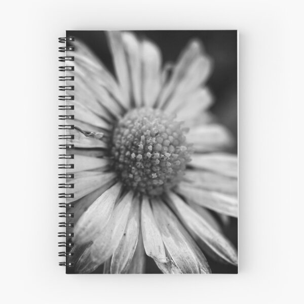Item preview, Close up of a daisy flower  designed and sold by MagdaPaiva.