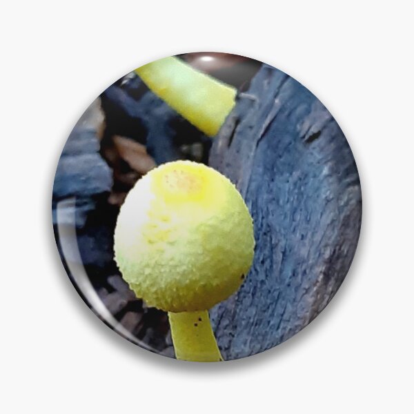 Item preview, Little Alert 'Shrooms designed and sold by Geoff Treagus.