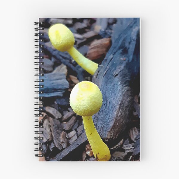 Item preview, Little Alert 'Shrooms designed and sold by Geoff Treagus.