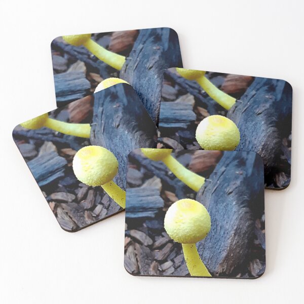 Item preview, Little Alert 'Shrooms designed and sold by Geoff Treagus.
