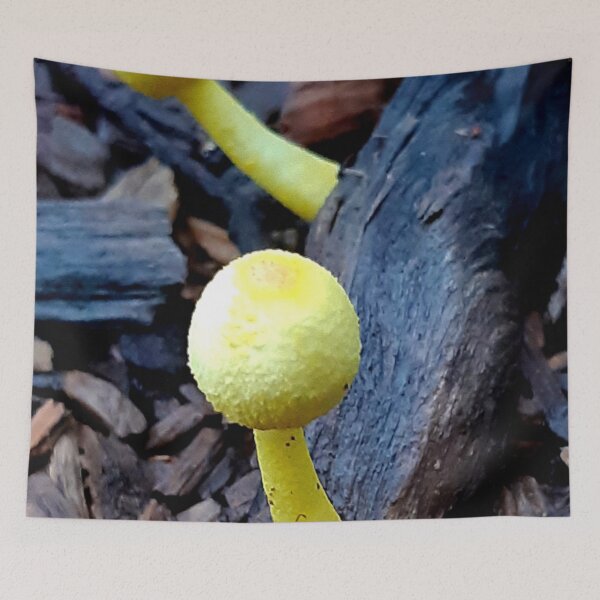 Item preview, Little Alert 'Shrooms designed and sold by Geoff Treagus.