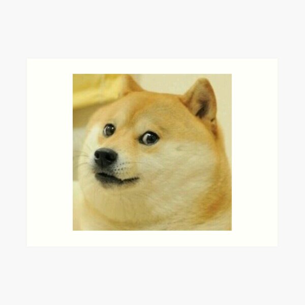 Doge Meme Art Prints Redbubble - classy doge roblox