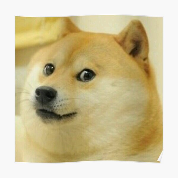 doge meme posters redbubble redbubble