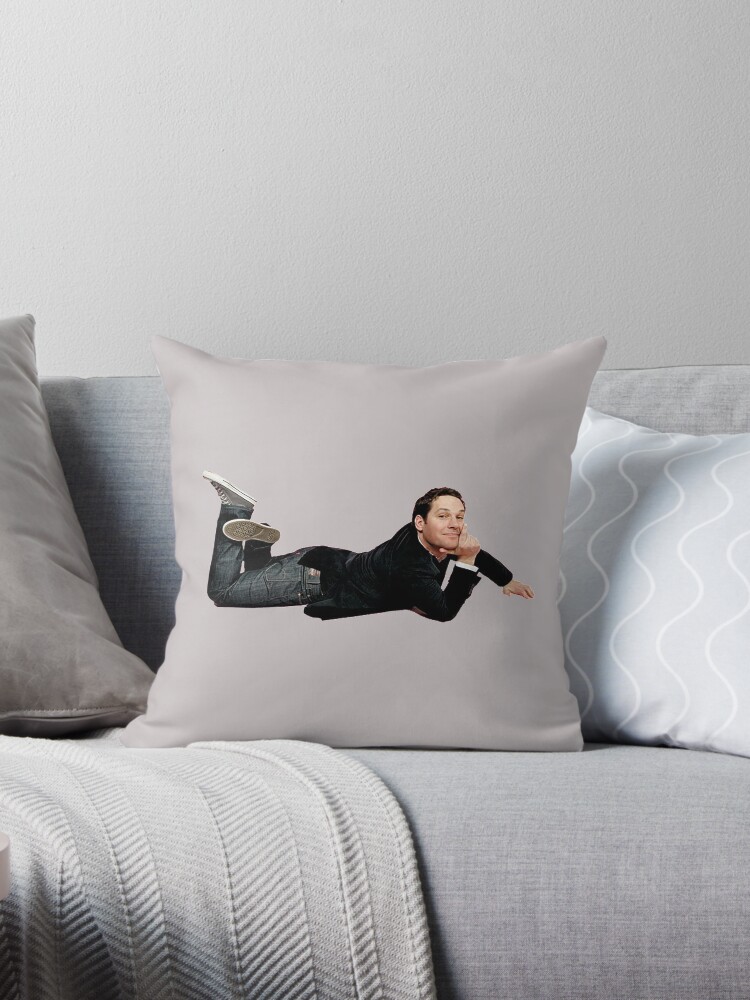 Paul shop rudd pillow