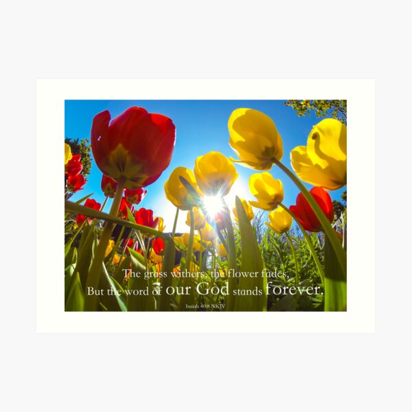 Isaiah 40:8 Art Print