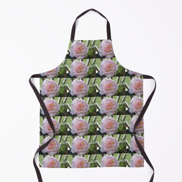 Item preview, Rose blooming designed and sold by ljdewet.