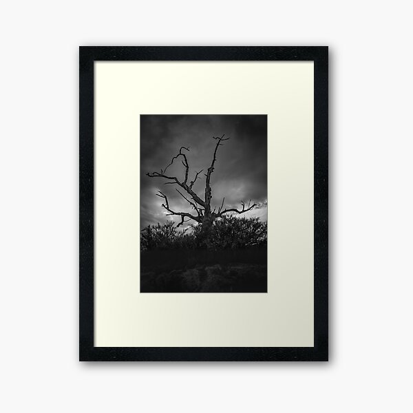 Item preview, Sinistree designed and sold by Ralph Goldsmith.
