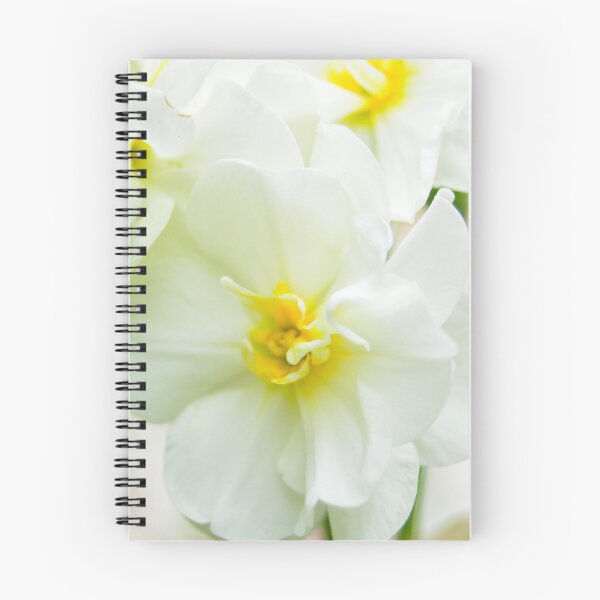 Item preview, Jonquil designed and sold by Cathy Jones.