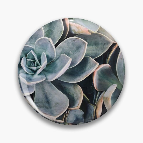 Item preview, Succulents designed and sold by Sapid.