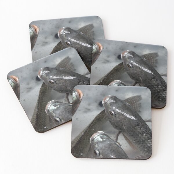 Item preview, African Tilapia Fish designed and sold by Sunnyhova.