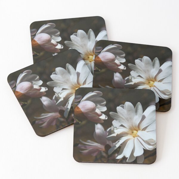 Item preview, Star Magnolias... designed and sold by Poete100.