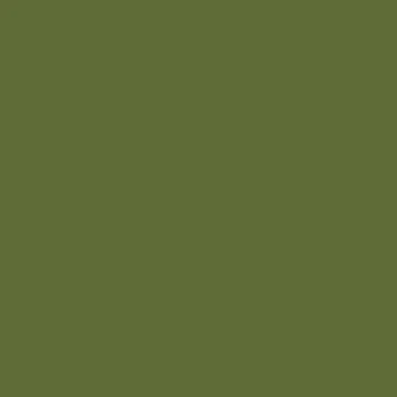 Imagen de la obra COOL DARK OLIVE GREEN COLOUR de Patternsonly